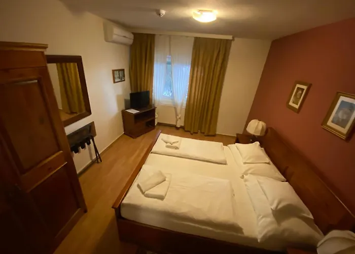 Juhasz Fogado 住宿加早餐酒店